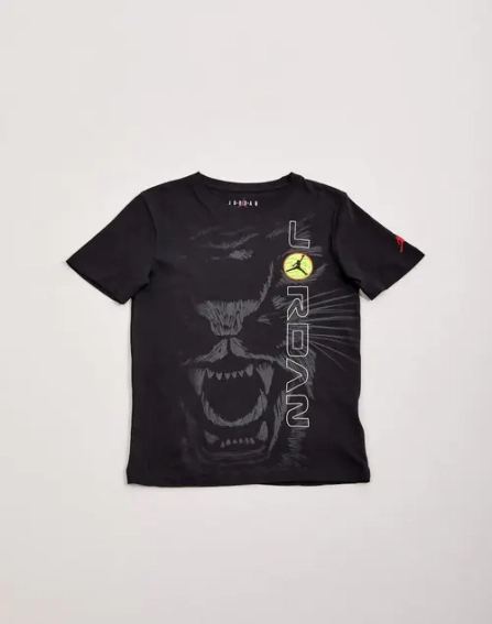 Футболка JORDAN 95C494-023 фото 1 — интернет-магазин Tapok