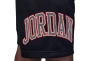 Шорты JORDAN 95C432-023 Фото 3