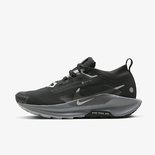 NIKE W PEGASUS TRAIL 5 GTX FQ0912-001 фото 1 — интернет-магазин Tapok