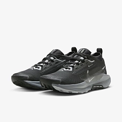 NIKE W PEGASUS TRAIL 5 GTX FQ0912-001 фото 2 — интернет-магазин Tapok