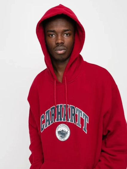 Худые Carhartt WIP Hooded Berkeley Sweat (I029511) I029511 фото 4 — интернет-магазин Tapok