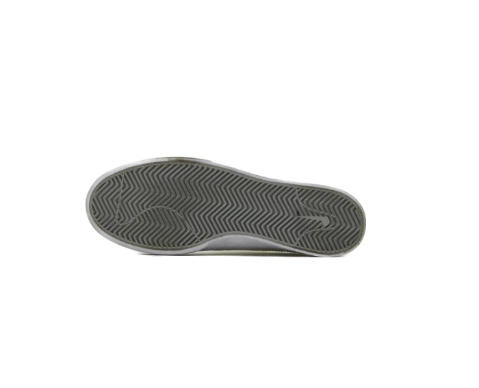 Кросівки NIKE SB SHANE PRM L DA4184-102 фото 3 — інтернет-магазин Tapok