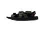 Сандалі NIKE ACG AIR DESCHULTZ MT.FUJI CZ3776-001 Фото 3