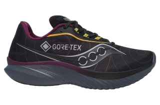Кроссовки для бега Saucony KINVARA 15 GTX S20969-250