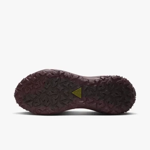 Кросівки Nike ACG Mountainfly Low 2 Gore-tex "Velvet Brown/Burgundy Crush" HF6245-200 фото 2 — інтернет-магазин Tapok