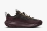 Кросівки Nike ACG Mountainfly Low 2 Gore-tex "Velvet Brown/Burgundy Crush" HF6245-200 Фото 3