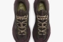 Кросівки Nike ACG Mountainfly Low 2 Gore-tex "Velvet Brown/Burgundy Crush" HF6245-200 Фото 4