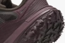 Кросівки Nike ACG Mountainfly Low 2 Gore-tex "Velvet Brown/Burgundy Crush" HF6245-200 Фото 8
