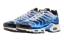 Кросівки Nike AIR MAX PLUS OG DZ3531-400 Фото 2