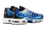 Кросівки Nike AIR MAX PLUS OG DZ3531-400 Фото 3
