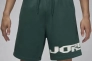 Шорты Air Jordan Mvp Fleece Shorts Green FV7231-366 Фото 1