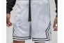 Шорты JORDAN MDF SPRT BC AOP DMND SHORT DZ0561-043 Фото 3