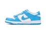 Кроссовки NIKE DUNK LOW (GS) CW1590-103 Фото 3