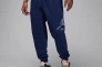 MJ ESS FLC BASELINE PANTS FD7345-410 Фото 1
