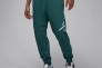 MJ ESS FLC BASELINE PANTS FD7345-366 Фото 1
