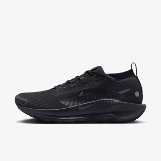 NIKE PEGASUS TRAIL 5 GTX FQ0908-002