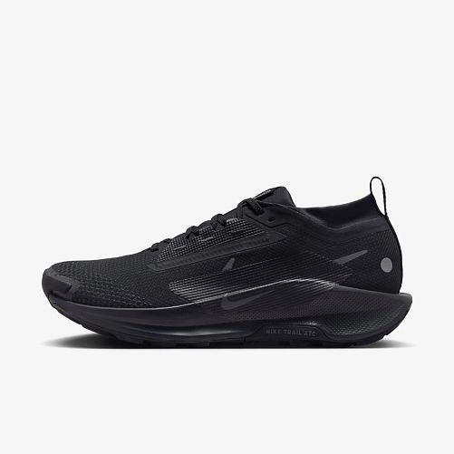 Чоловічі кросівки NIKE PEGASUS TRAIL 5 GTX FQ0908-002 фото 1 — інтернет-магазин Tapok