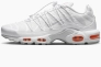 Кроссовки Nike AIR MAX PLUS UTILITY FJ4232-100 Фото 1