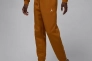 Брюки Jordan MJ BRKLN FLC PANT FV7277-228 Фото 1