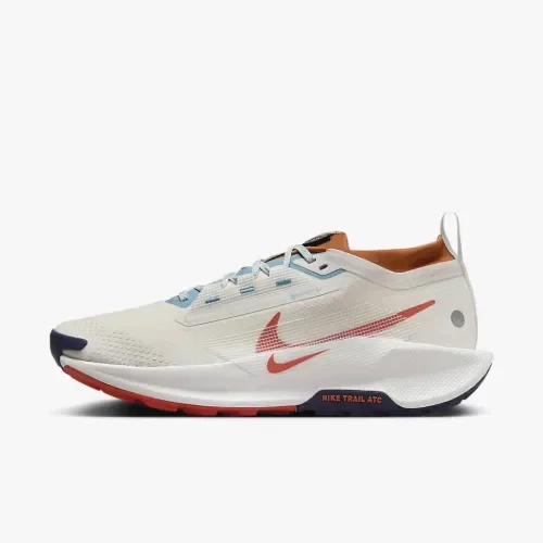 Кросівки Nike PEGASUS TRAIL 5 GTX FQ0908-003 фото 1 — інтернет-магазин Tapok