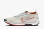Кросівки Nike PEGASUS TRAIL 5 GTX FQ0908-003 Фото 1