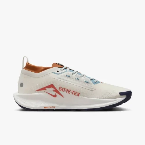 Кросівки Nike PEGASUS TRAIL 5 GTX FQ0908-003 фото 3 — інтернет-магазин Tapok
