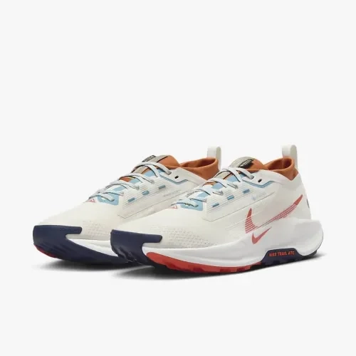 Кросівки Nike PEGASUS TRAIL 5 GTX FQ0908-003 фото 5 — інтернет-магазин Tapok