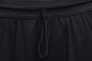 Шорти Nike M NK DF ICON 11IN SHORT DQ5822-016 Фото 4