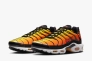 Кросівки NIKE AIR MAX PLUS HF0552-001 Фото 2