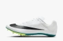 Кросівки Nike ZOOM RIVAL SPRINT FZ9663-102 Фото 1