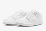 Кросівки Nike SB DUNK LOW PRO FJ1674-100 Фото 2