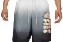 Шорты Jordan MJ SPRT DNA HBR POOL SHORT CZ4849-010 Фото 1