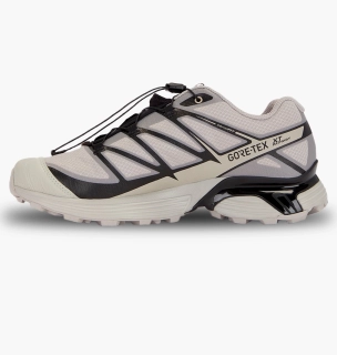 Кросівки чоловічі Salomon Xt-Pathway Gtx Grey L47577400