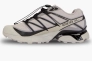Кроссовки мужские Salomon Xt-Pathway Gtx Grey L47577400 Фото 1