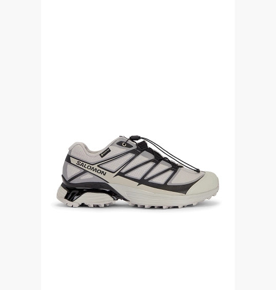 Кроссовки мужские Salomon Xt-Pathway Gtx Grey L47577400 фото 2 — интернет-магазин Tapok