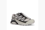 Кроссовки мужские Salomon Xt-Pathway Gtx Grey L47577400 Фото 3