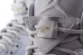 Кросівки JORDAN 5 PREMIUM PURE 881432-003 Фото 7
