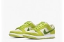 Кроссовки NIKE DUNK SB DM0807-300 Фото 3