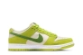 Кроссовки NIKE DUNK SB DM0807-300 Фото 12