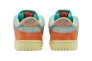 Кросівки NIKE SB DUNK LOW DV5429-800 Фото 6