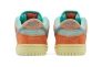 Кросівки NIKE SB DUNK LOW DV5429-800 Фото 7