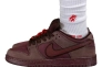 Кроссовки NIKE SB DUNK LOW FN0619-600 Фото 13