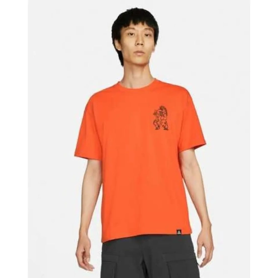 Футболка NIKE ACG DJ5807-817 фото 10 — интернет-магазин Tapok