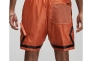 Шорти  JORDAN 23ENG DM1390-872 Фото 8