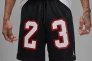 Шорти  JORDAN MESH 23 DX9671-010 Фото 4