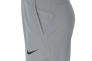 Шорты NIKE PRO DR8814-073 Фото 3