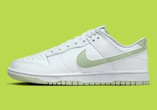 Кроссовки Nike Dunk Low Retro DV0831-105