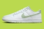 Кросівки Nike Dunk Low Retro DV0831-105 Фото 1