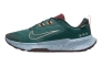 Кроссовки Nike Juniper Trail 2 Gore-Tex FB2067-300 Фото 1