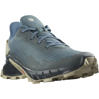 Кроссовки Salomon Alphacross 4 L47116600